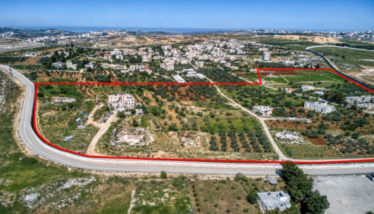 Aerial view of a large parcel of land outlined in red, featuring olive trees and fields, bordered by a curved road and nearby houses in the distance.